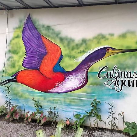 Cabinas Agamy Tortuguero Luaran gambar