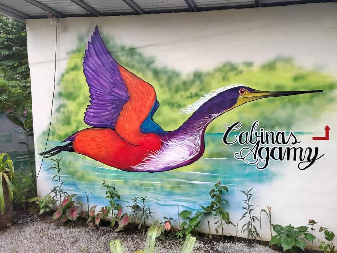 Cabinas Agamy Tortuguero Luaran gambar