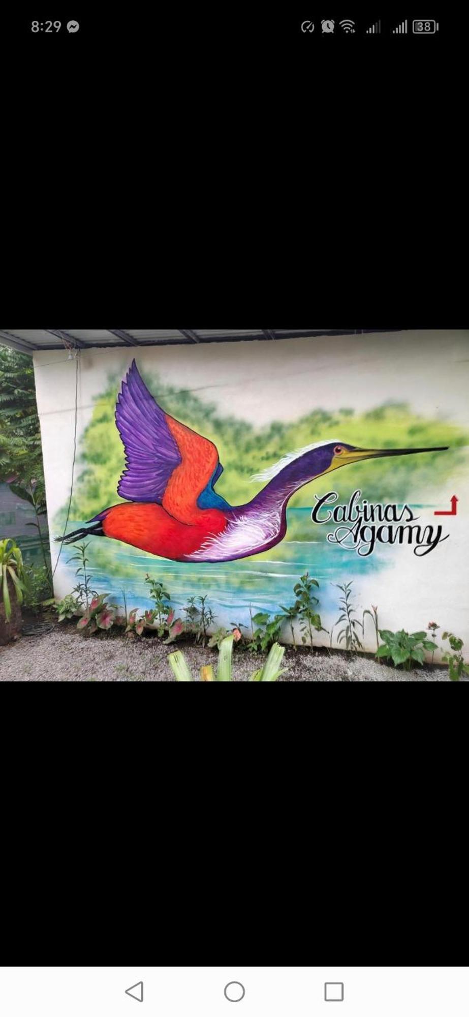 Cabinas Agamy Tortuguero Luaran gambar