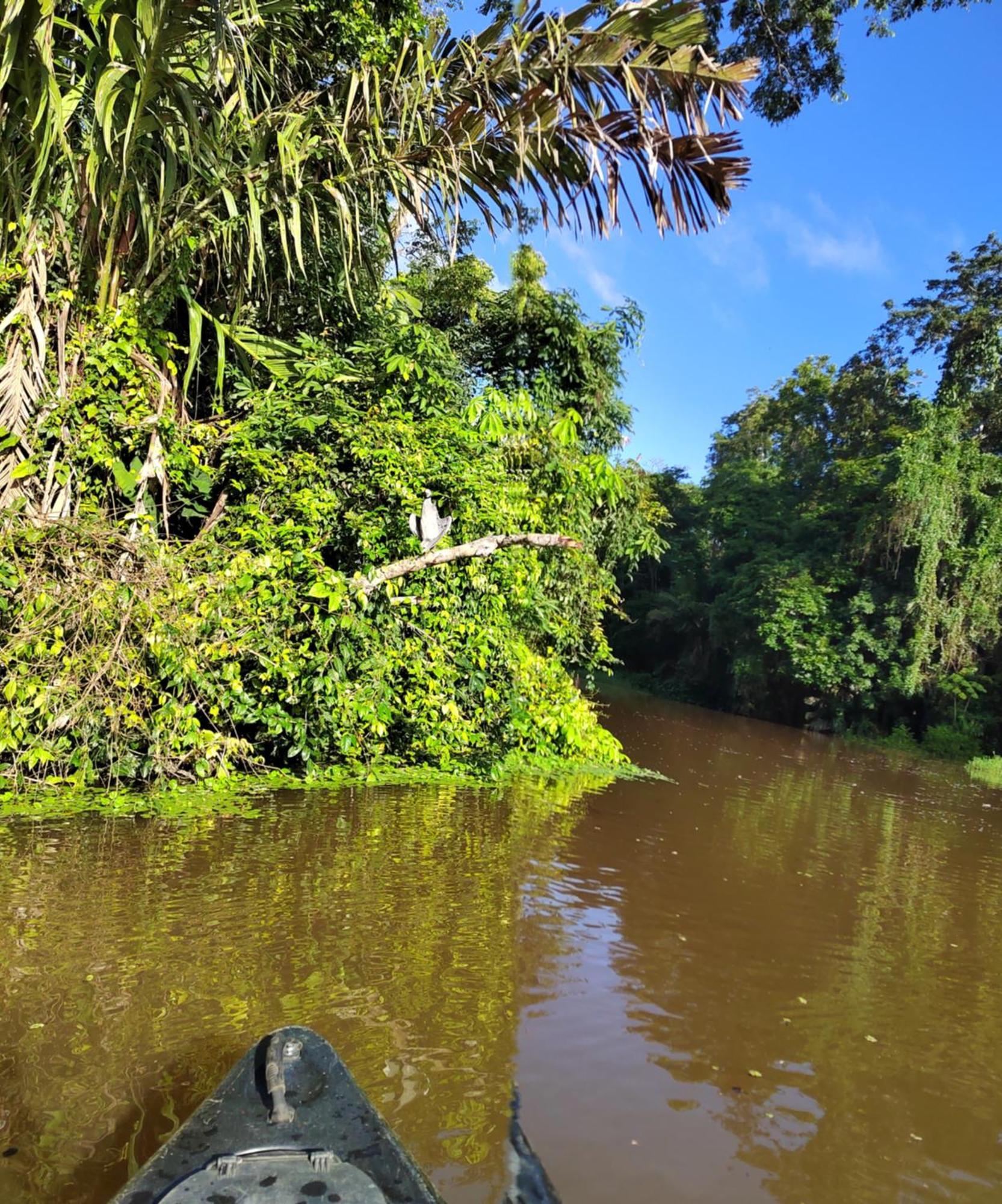 Cabinas Agamy Tortuguero Luaran gambar
